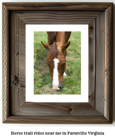 horse trail rides near me in Farmville, Virginia